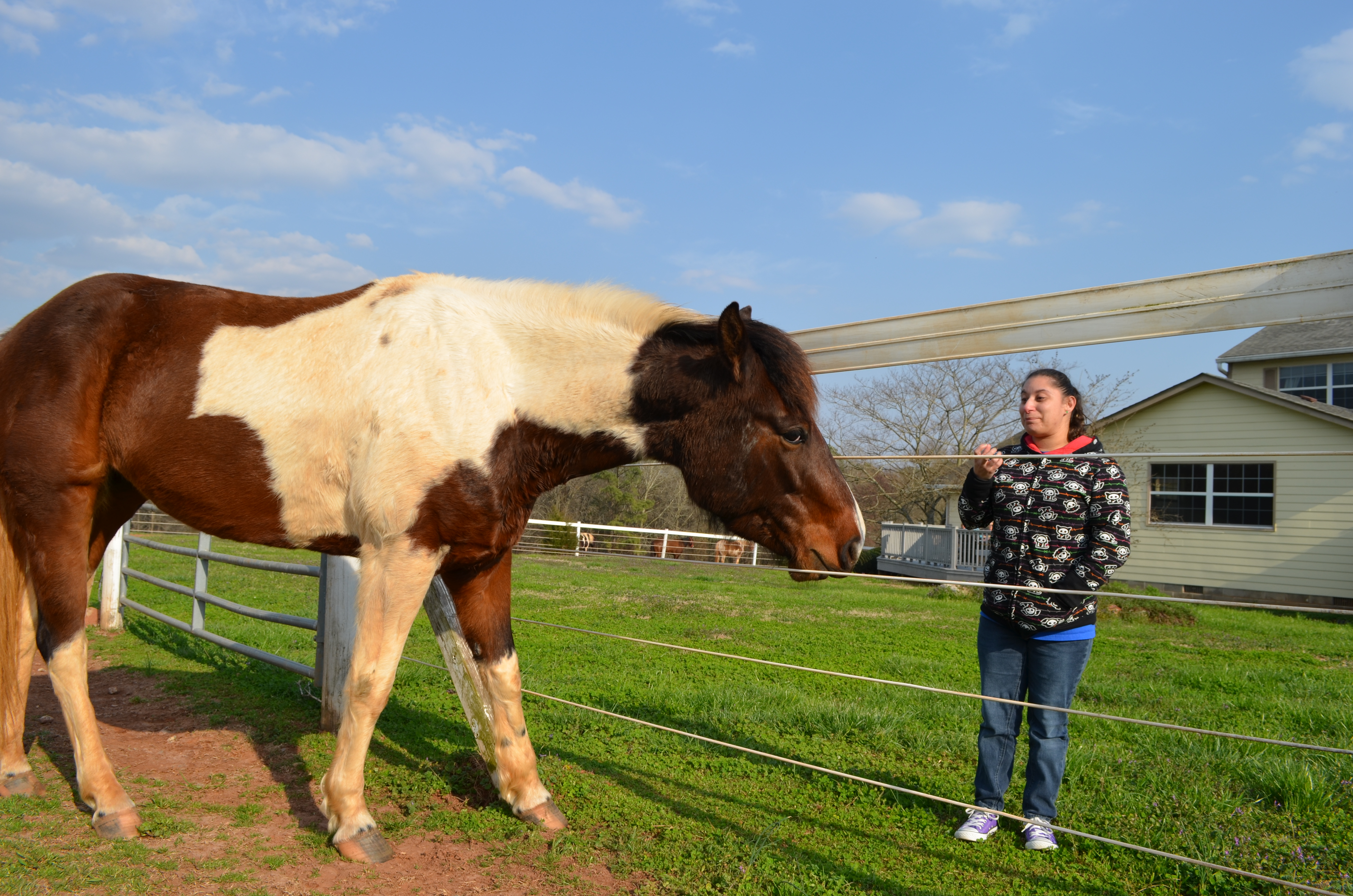 ./2014/Southern Cross/DSC_4020.JPG